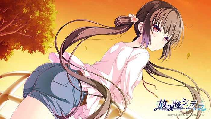 图片[12]-【PC/汉化】放课后的灰姑娘